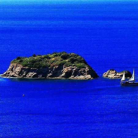 Avlana House Mesudiye (Datca)
